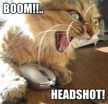 Boom Headshot!