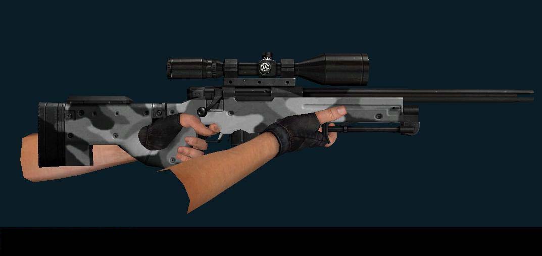 Lonewolf/Birdhouse's Awp, Arctic Flavor